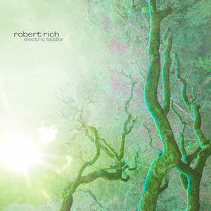 Robert Rich - Electric Ladder